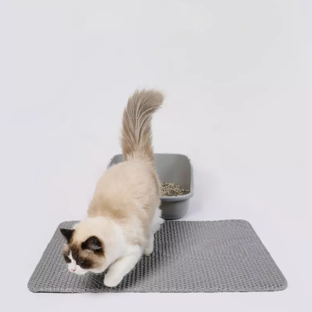 Where Do You Place a Cat Litter Mat?