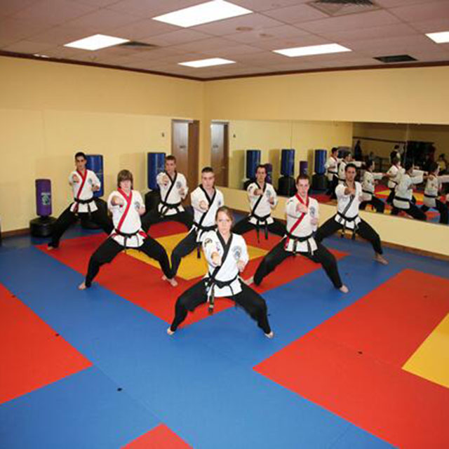 EVA Foam Mat High Density Puzzle Judo Taekwondo Mat