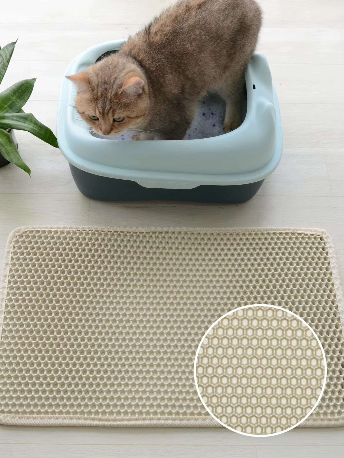 Cat Litter Mat Litter Box Mat Double Layer Design Waterproof Urine Proof Kitty Litter Mat Easy Clean Scatter Control