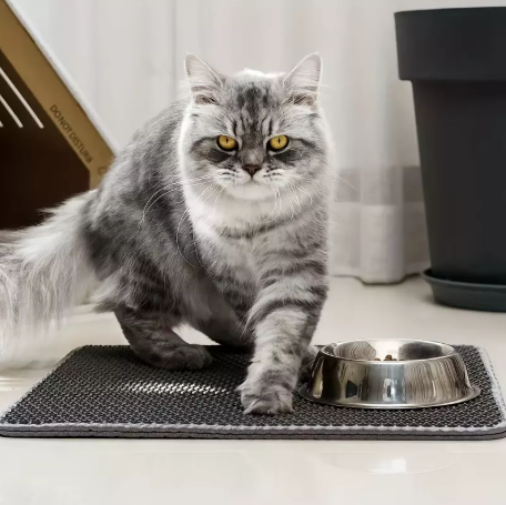 cat litter mat
