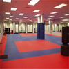 Non-Slip Five Pattern 2cm 2.5cm 3cm 4cm Taekwondo Karate Gym Mat Wrestling Tatami Floor Judo Mats Soft Material Arts Mat